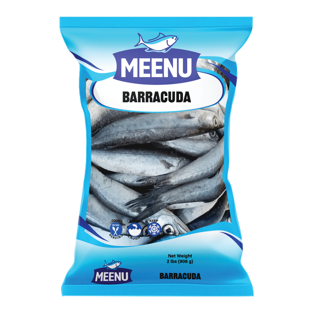 Barracuda